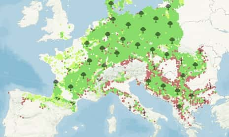 L'évolution du poirier d'ici 2095 en cas de réchauffement fort. En vert clair, les zones où il n'était pas présent, mais progresse en 2095. © Nos forêts demain