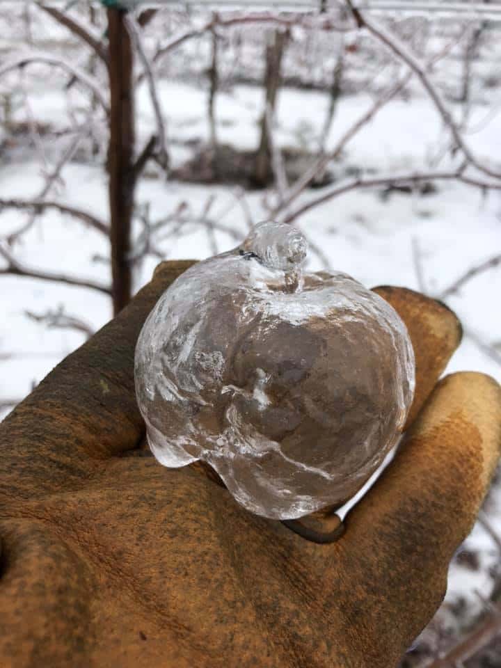 On peut voir ici le trou par lequel a glissé la pomme en bas de la formation de glace. © Andrew Sietsema