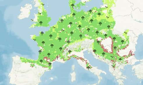 L'évolution du pommier d'ici 2065 en cas de réchauffement modéré. © Nos forêts demain