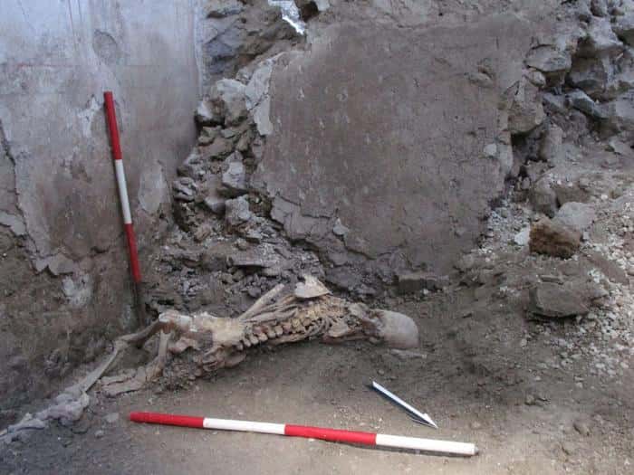 Squelette de « l’individu 1 », un homme âgé d’environ 50 ans. La position suggère qu'il a été soudainement écrasé par l'effondrement d'un grand fragment de mur, entraînant de graves traumatismes et la mort immédiate. © <em>Pompeii Archaeological Park</em>