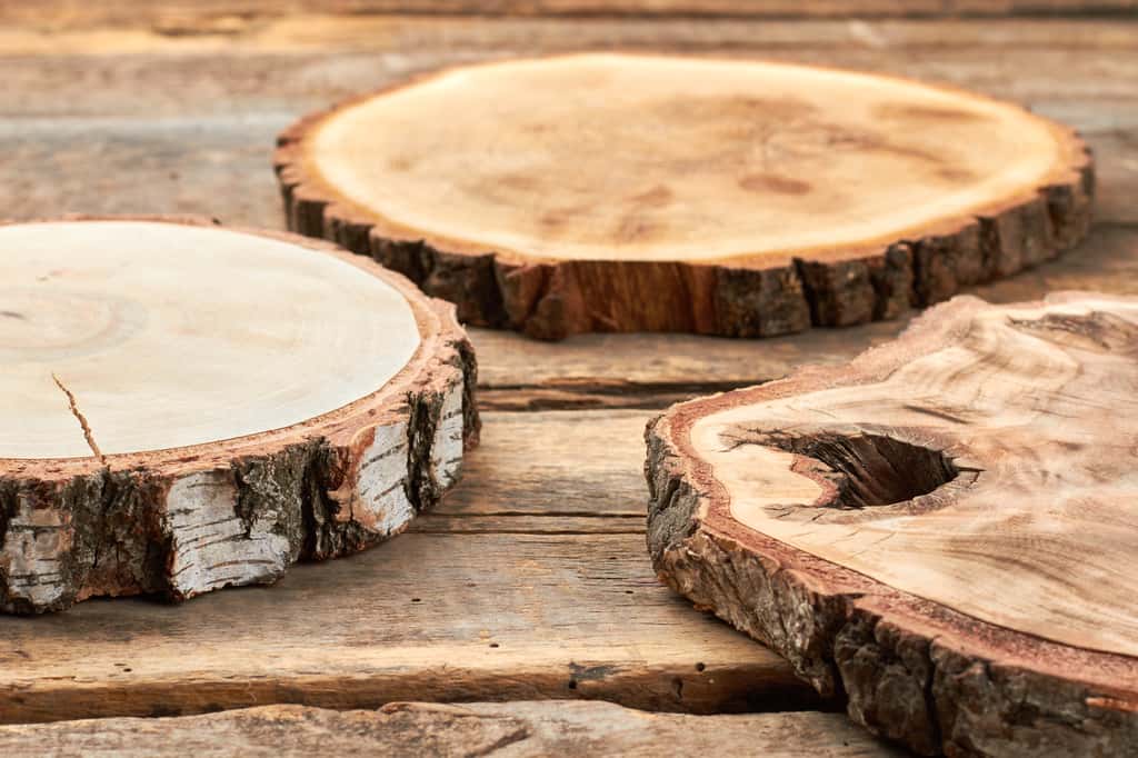 N’hésitez pas à conserver l’écorce de l’arbre et les nœuds du bois pour un résultat plus brut. © DenisProduction.com, Adobe Stock