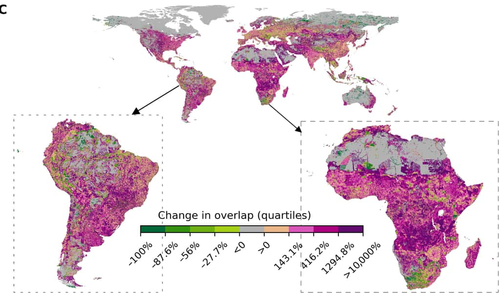 La progression de la présence humaine dans le monde d'ici 2070 : en rose et violet, les zones où cette pression humaine va le plus progresser. En vert, celle où elle va diminuer. © <em>Sciences Advances</em>