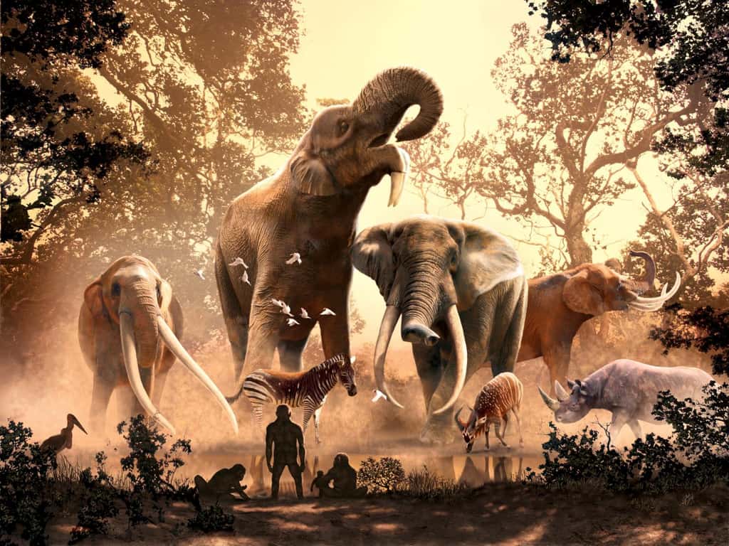 Par le passé, plusieurs espèces de proboscidiens pouvaient se côtoyer. Selon cette vue d'artiste, des Australopithèques observent cette diversité dans ce qui serait le Kenya actuel. © Julius Csotonyi