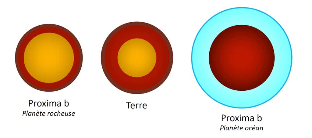 Comparaison des deux cas extrêmes obtenus pour Proxima b avec la Terre. Ce schéma montre la structure interne de chaque planète. De gauche à droite : Proxima b avec le plus petit rayon atteignable (65 % de noyau métallique, entouré d’un manteau rocheux séparé en deux phases), la Terre (idem avec 32,5 % de noyau), et Proxima b avec le plus grand rayon autorisé (50 % de manteau rocheux entouré d’une couche d’eau sous forme solide puis liquide). © CNRS