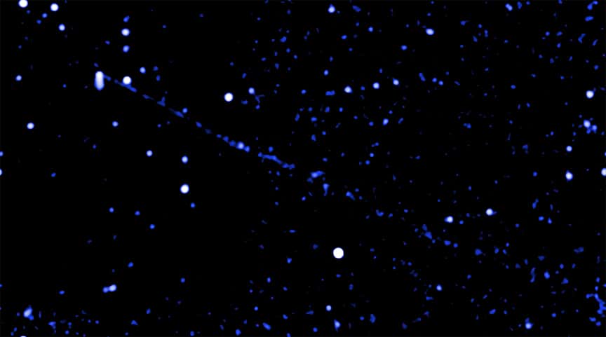 Une vue du jet de particules de J2030 en fausses couleurs dans les données en rayons X de Chandra. © rayons X : Nasa, CXC, Stanford Univ., M. de Vries
