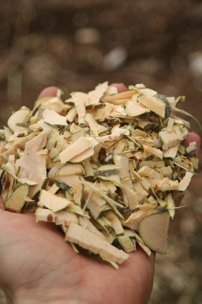 Une poignée de bois raméal fragmenté. Celui-ci est fabriqué à partir de rameaux vivants fraîchement coupés. © arpent nourricier, Flickr, cc by sa 2.0
