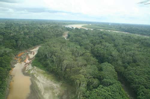L’Amazonie est l’un des poumons verts de la Terre, comme les océans et leur phytoplancton. © Véronique Debord CC by-sa 2.0
