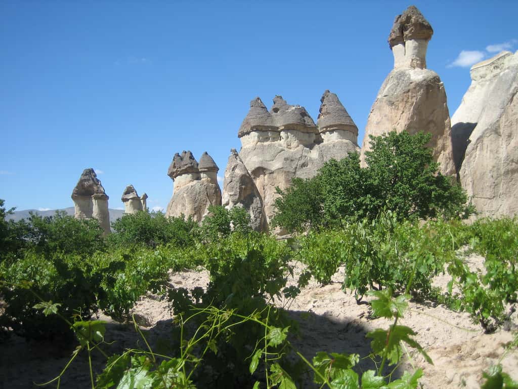 Les cheminées de fée en Cappadoce arborent une forme étonnante de champignon. © Sam Michel, Flickr