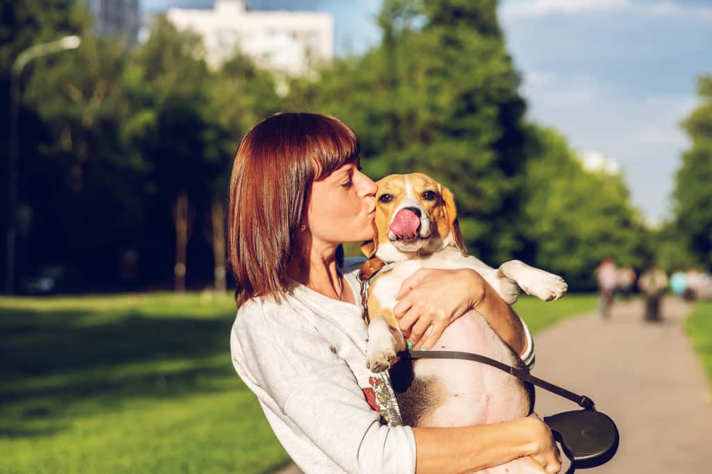 Les propriétaires de chiens sont plus heureux que les propriétaires de chats. © Artem Beliaikin, Unsplash