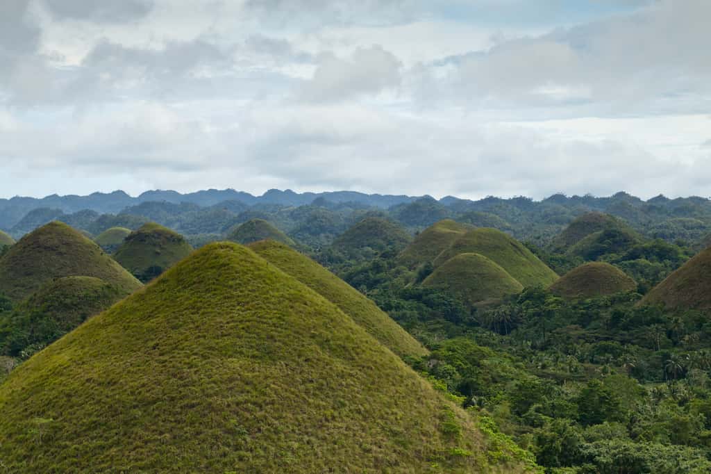 Les <em>Chocolate Hills</em> sont l’un des plus beaux paysages des Philippines. © Sergey Norin, Flickr