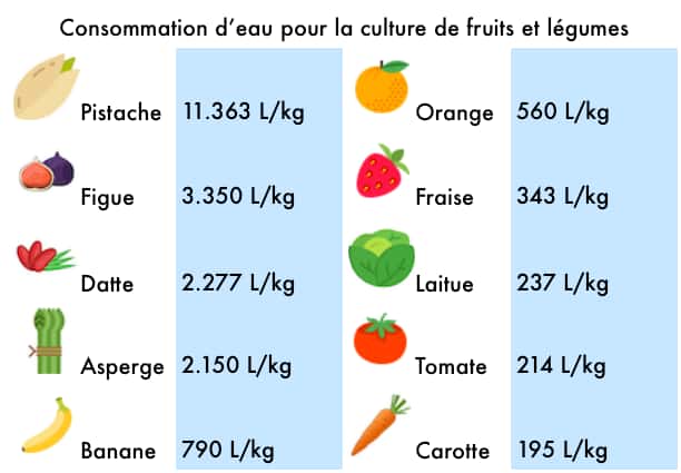 Consommation en eau de quelques fruits et légumes cultivés. Source : M. M. Mekonnen <em>and</em> A. Y. Hoekstra, Hydrol. Earth Syst. Sci., 2011. © Flaticon, Céline Deluzarche, Futura
