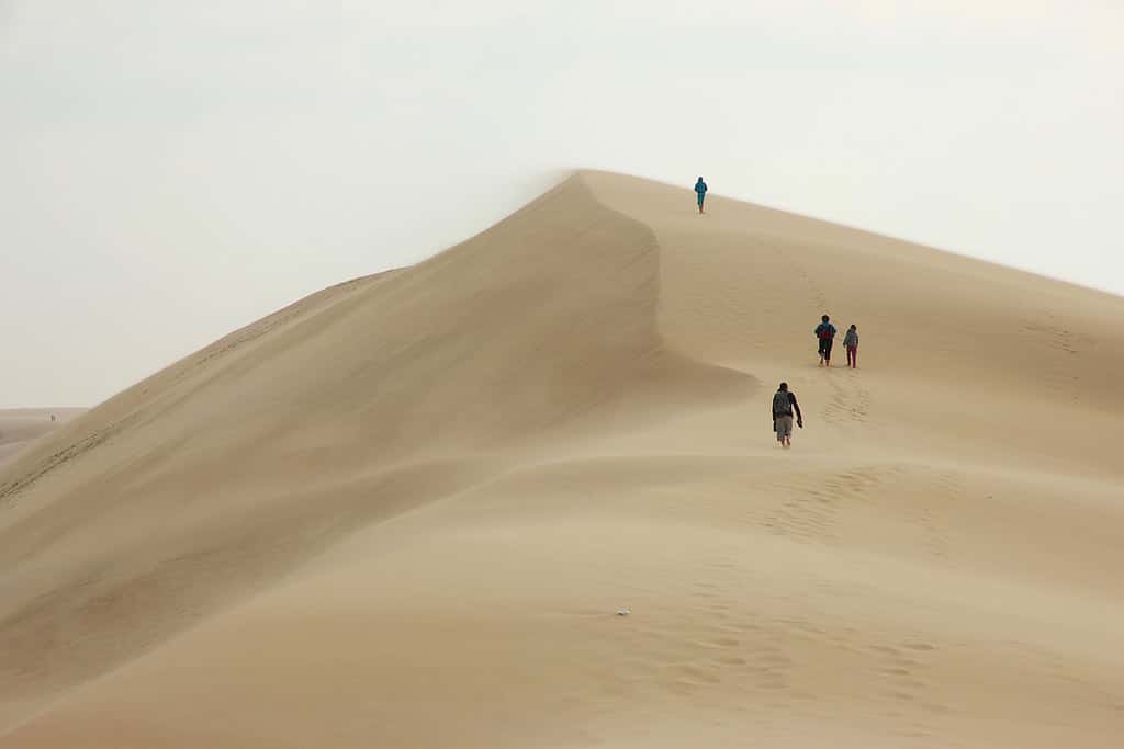 La Dune du Pilat, un petit air de désert namibien. © Philippe Pouvreau, Flickr
