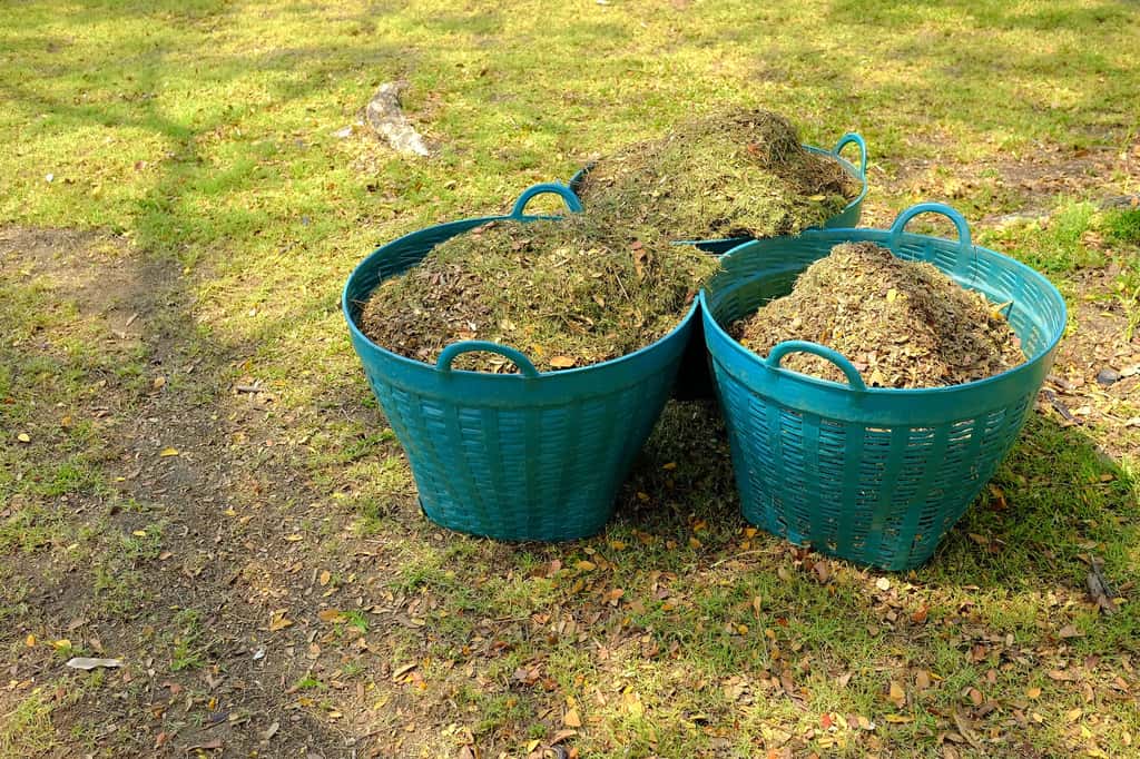 L’herbe broyée (<em>mulch</em>) fournit un excellent engrais au gazon. © mesamong, Fotolia