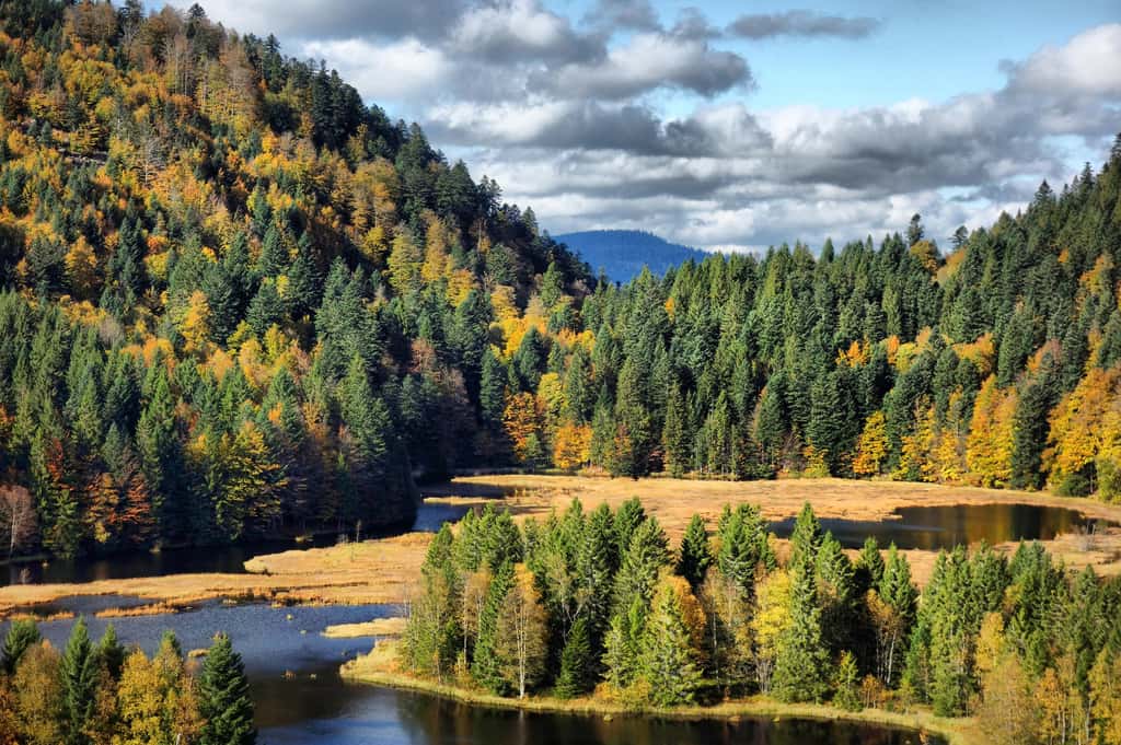 Le lac de Lispach en Alsace comme au Canada. © Denis Martin, Flickr