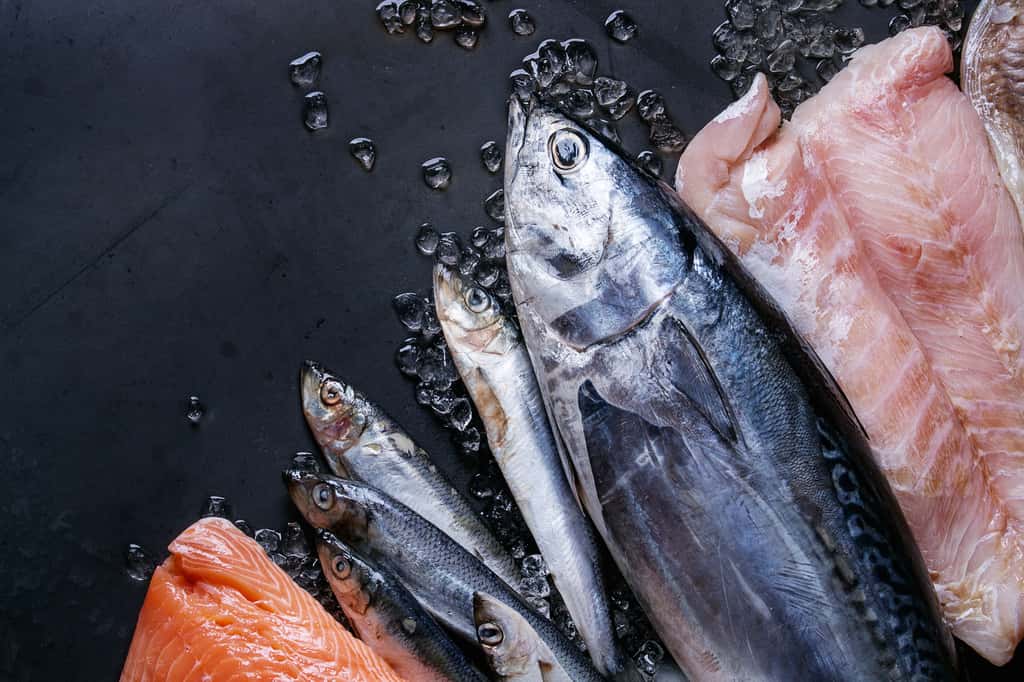 Manger du poisson gras ne permet pas de réduire les risques de maladies cardiovasculaires. © Natasha Breen, Fotolia