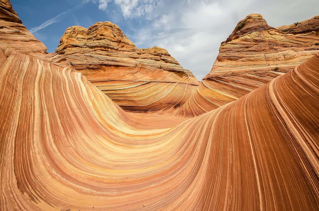 Les ondes rougeoyantes des roches sédimentaires de <em>The Wave</em>, en Arizona. © Michael Wilson, Flickr