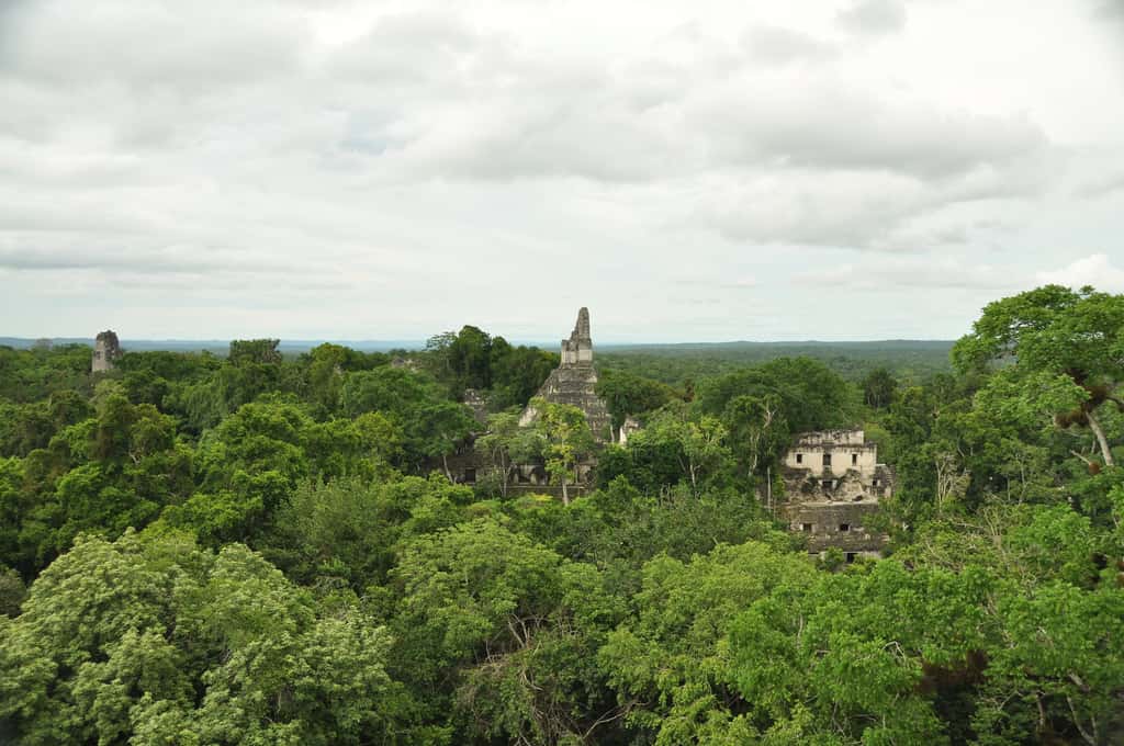 Les Mayas ont déserté leur cité entre 750 et 1050 après J.-C. © Mario Bollini, Flickr
