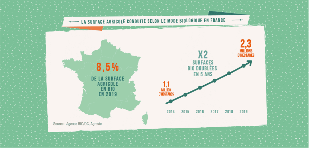 8,5 % des surfaces agricoles françaises sont cultivées en bio. © Agence BIO