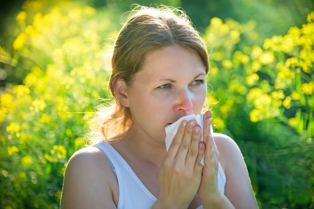 Les allergies au pollen provoquent des irritations du nez et des yeux. © andreusK, Adobe Stock