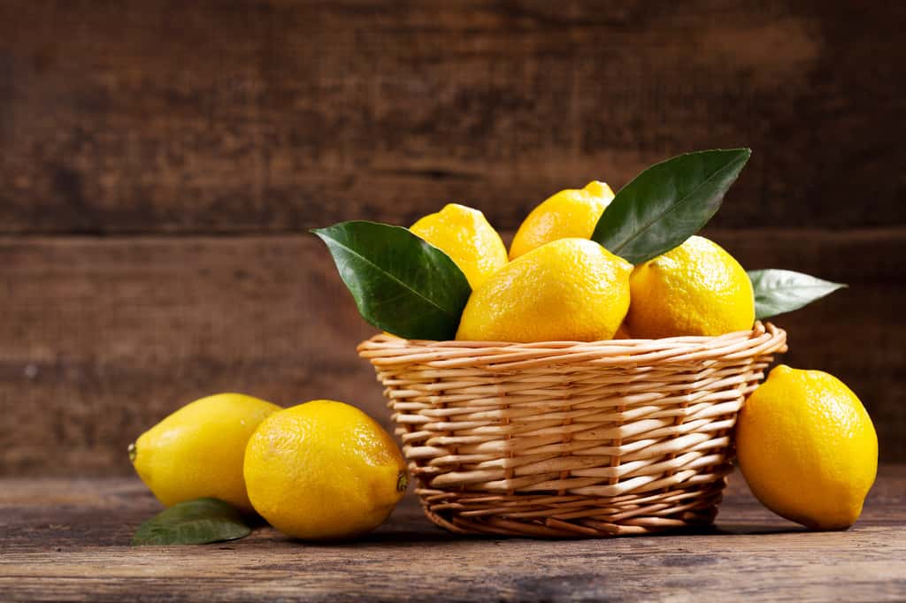 Le citron, un fruit pour faire le plein de vitamines C en hiver. © Nitr, Adobe Stock