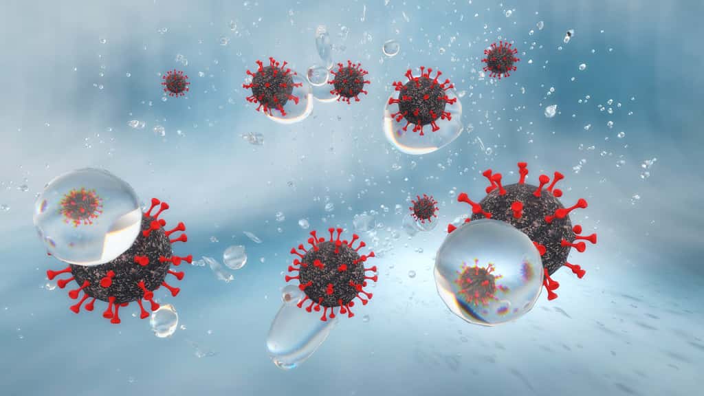 Le coronavirus se transmet essentiellement par voie aérienne, mais on ne sait pas encore si c’est par gouttelettes ou par aérosol. © crimson, Adobe Stock
