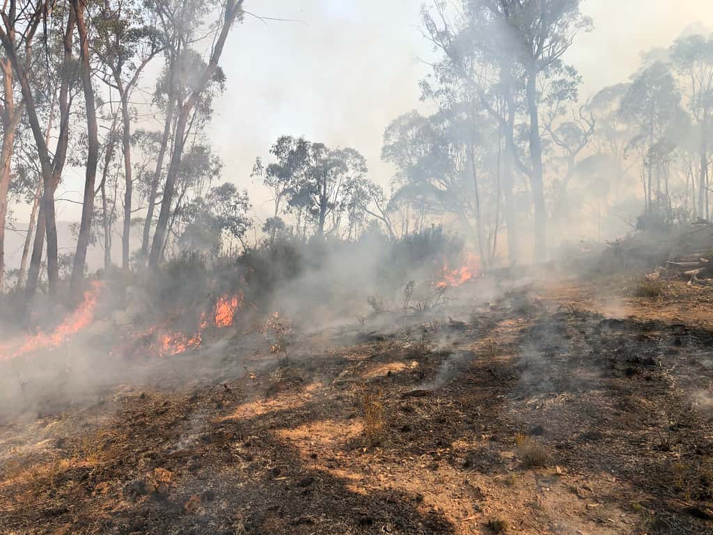 Un incendie de forêt dans la région de Tambo en Australie. © BLMIdaho, Flickr