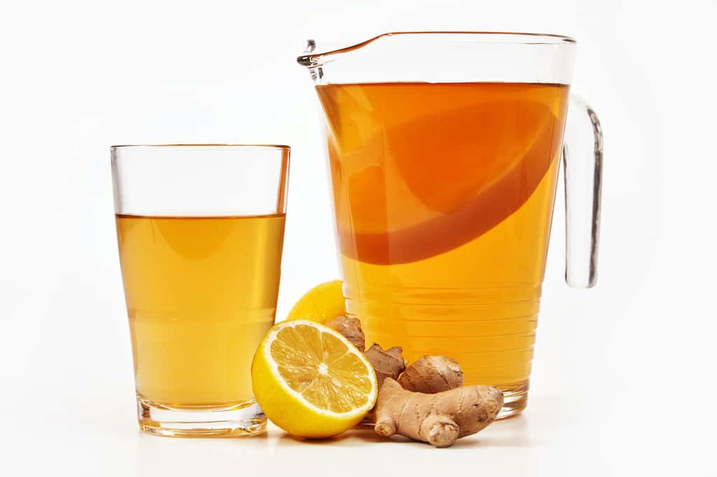 Le kombucha est une boisson pétillante à base de thé fermenté. © exclusive-design, Adobe Stock