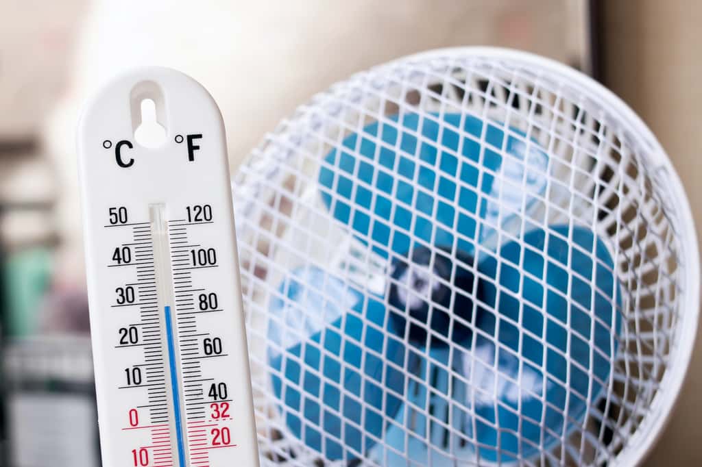  Le ventilateur électrique est suffisant lorsque la température ne dépasse pas les 39 °C. © Vera Aksionava, Adobe Stock