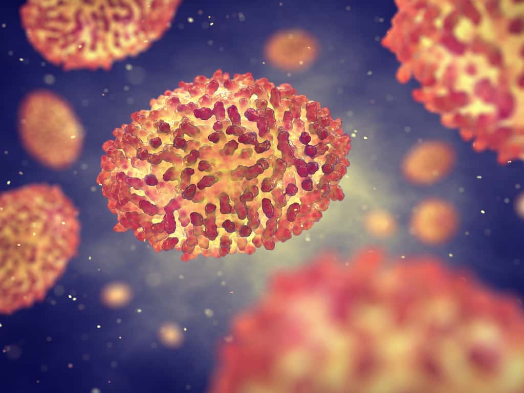 Le virus de la variole. © nobeastsofierce, Adobe Stock