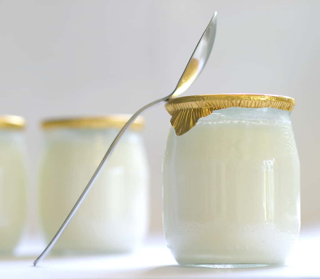 Le yaourt est une excellente source de probiotiques. © Chantal, Adobe Stock