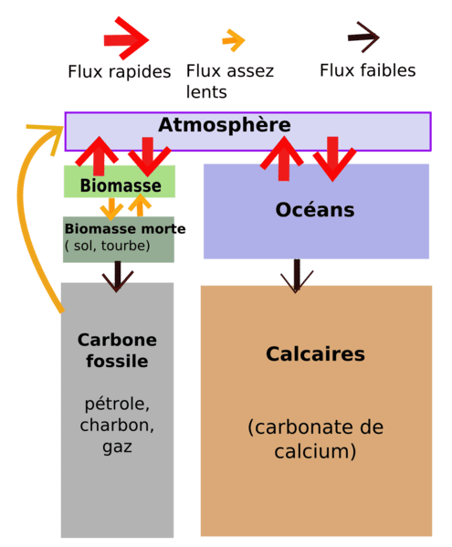 Schéma simplifié du cycle du carbone montrant les flux entre les stocks biologiques et géologiques de carbone. © Maxime Lev, Wikipédia, CC by-sa 3.0