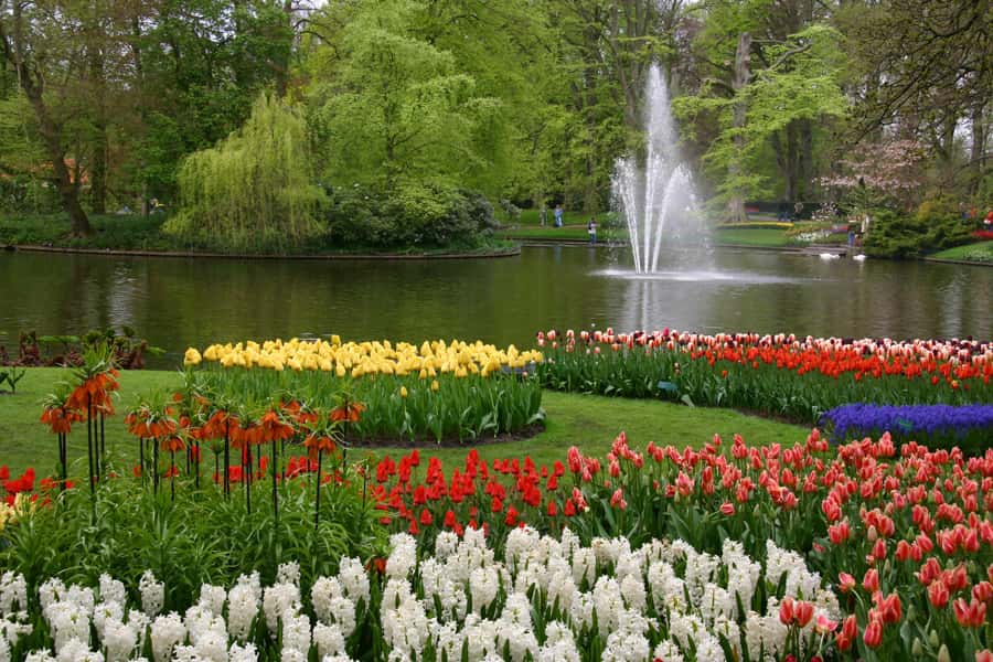 Le parc Keukenhof, aux Pays-Bas, est le plus grand parc floral mondial. ©Alessandro Vecchi, <em>Wikimedia Commons</em> by-sa 3.0