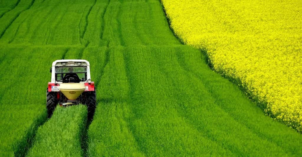 Les tracteurs ont fait leur apparition dans les champs au début du XIX<sup>e</sup> siècle. Une innovation majeure à l’époque. © dengmo, Pixabay License