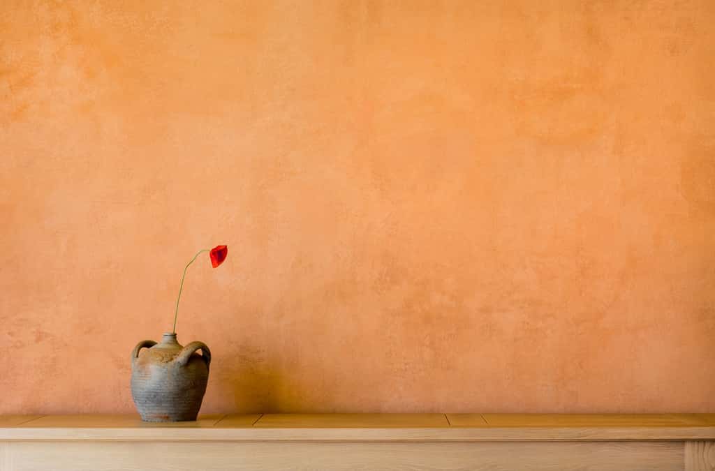 Le badigeon, une peinture décorative à base de chaux et de pigments. © Fotoschlick, Adobe Stock