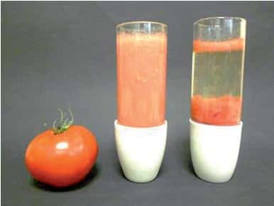 <br />À gauche, en plaçant un jus de tomate dans une centrifugeuse, on peut séparer les pulpes (au fond du tube), l’eau de constitution (au milieu), et les fibres (en haut). Ainsi, pigments et arômes se séparent physiquement. Le Bloody Mary peut être revisité en un cocktail incolore aux notes fraîches (à droite). © R. Haumont