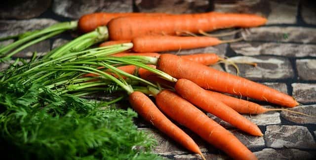 La récolte de carottes. © Congerdesign, Pixabay, DP