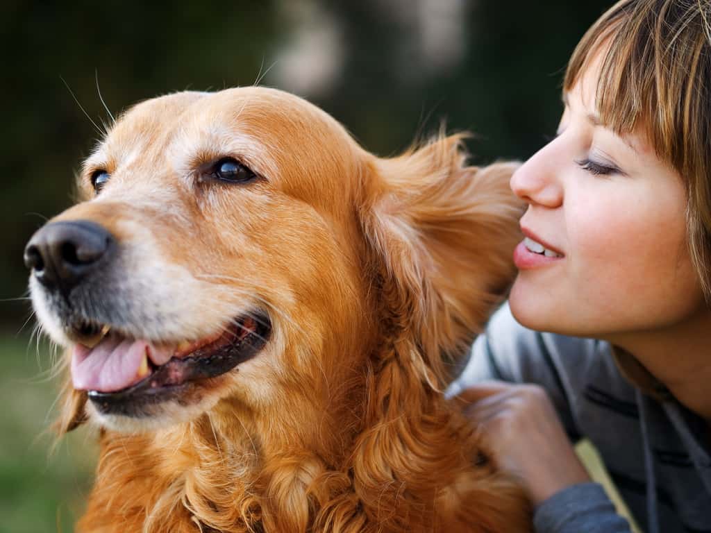 Votre chien distingue votre voix de celle d’un inconnu. © ivanmateev, Adobe Stock