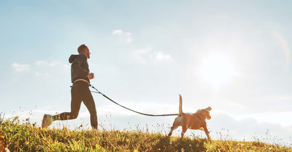 Parce qu’il nous encourage à faire des activités physiques régulières, notre chien est bon pour notre santé. © iSoloviova Liudmyla, Adobe Stock