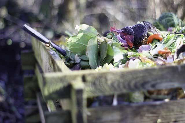 Feuilles de salade, épluchures... tout pour faire un bon compost. © Herb007, Pixabay, DP