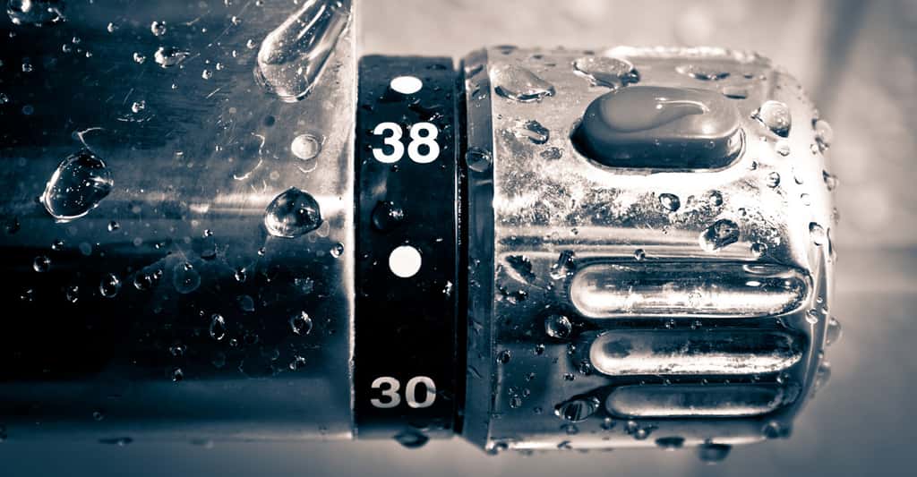 Grâce à un mitigeur thermostatique, vous économisez facilement cinq litres d’eau par douche. © Paipai, Fotolia