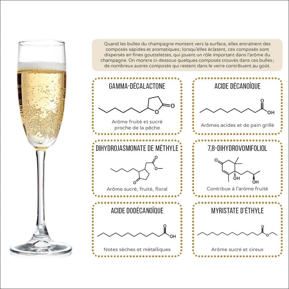 Les composés impliqués dans les bulles de champagne. © PPUR  