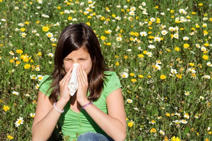 Éternuements, nez qui coule, démangeaisons au niveau des narines sont les symptômes de l'allergie aux pollens. © godfer, Fotolia