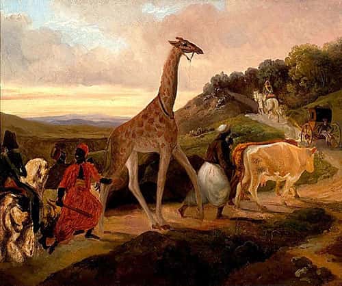 Le Passage de la girafe près d'Arnay-le-Duc, tableau de Jacques Raymond Brascassat (1827). Musée des beaux-arts de Beaune, <em>Wikimedia commons</em>, DP