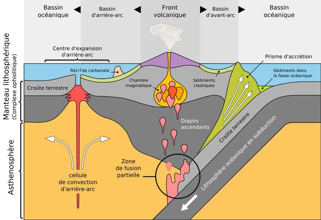 Diagramme de la tectonique des plaques montrant la convergence d'une plaque océanique et d'une plaque continentale. © MagentaVert,<em> Wikimedia Commons</em>, CC by-sa 3.0