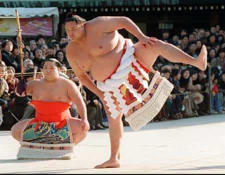 L’exercice quotidien du Sumo ( Demi-Dieu ), de plus de 130 kilos, consiste à taper chaque pied sur le tatami plus de 300 fois. © DR