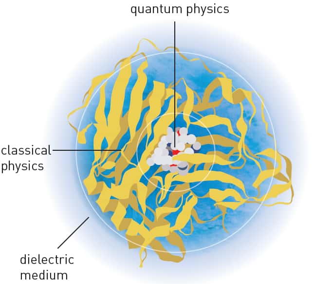 Dans la méthode de modélisation développée par les lauréats 2013 du prix Nobel de chimie, on utilise la physique quantique (<em>quantum physics</em>) pour décrire le lieu des réactions chimiques, tandis que la physique classique (<em>classical physics</em>) est plus adaptée pour décrire la périphérie. Au-delà, les charges électriques ne sont pas susceptibles de se déplacer de manière macroscopique : c’est le milieu diélectrique (<em>dielectric medium</em>). © Nobel Media AB