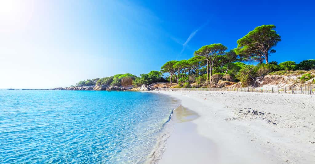 La plage de Palombaggia est réputée être l’une des plus belles d’Europe. © Eva Bocek, Adobe Stock