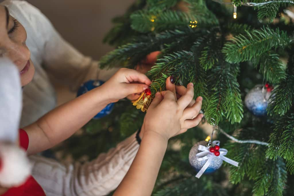 Pour que votre sapin naturel reste somptueux le jour de Noël, prenez soin de lui ! © Tatiana, Adobe Stock