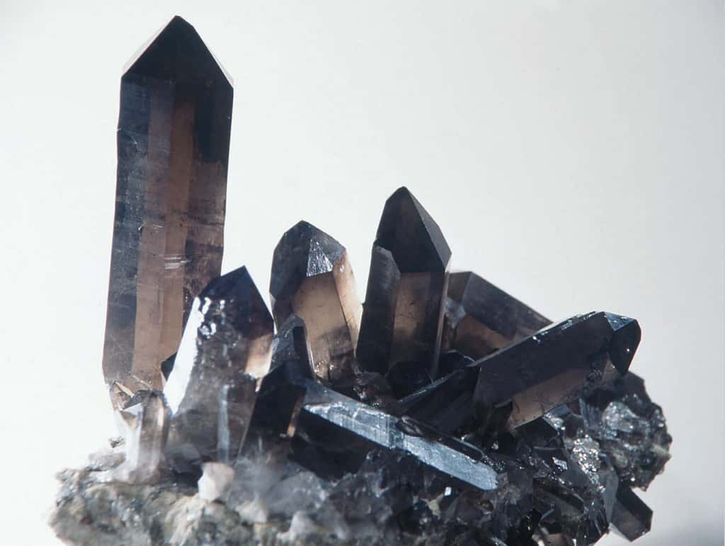 Des cristaux de quartz fumés morion de formes allongés mesurant 30 x 20 cm et découverts par Jean-Franck Charlet. © Jean-Franck Charlet