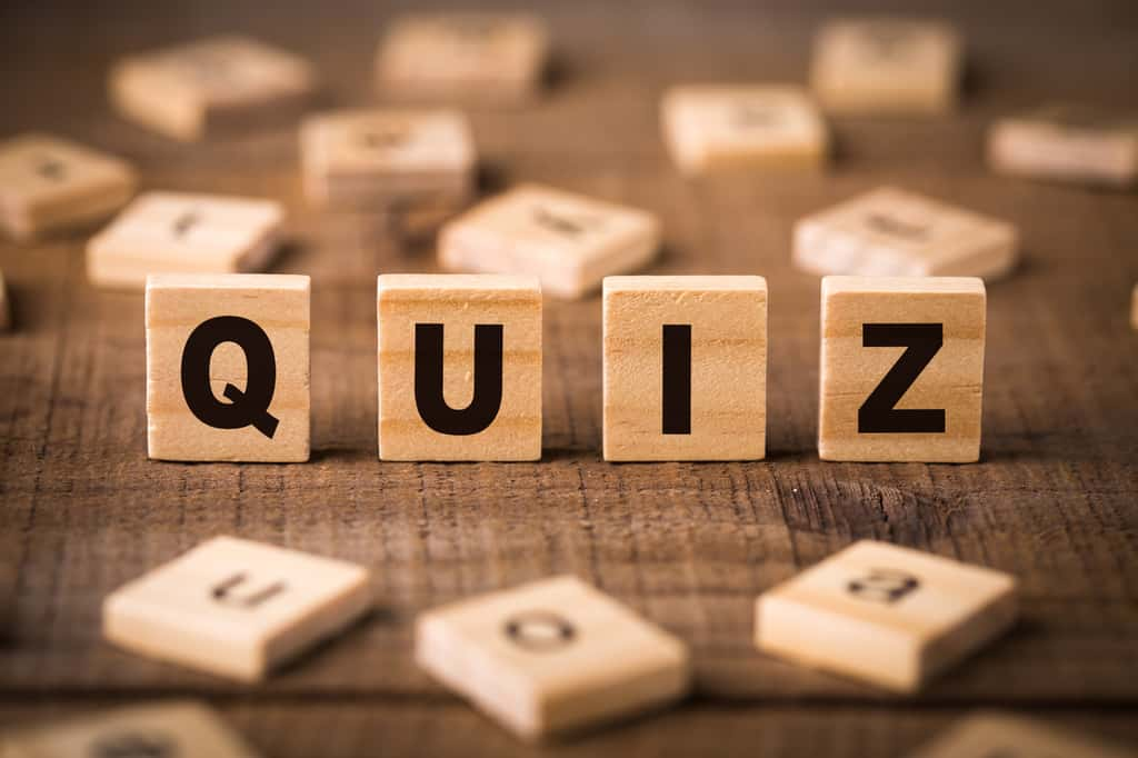 Découvrez le quiz Futura du mois d'octobre 2024 ! © christianchan, Adobe Stock